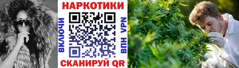 Купить Рошаль Марихуана  Кокаин  Alpha PVP  АМФЕТАМИН  МЕТАМФЕТАМИН  Меф мяу мяу 