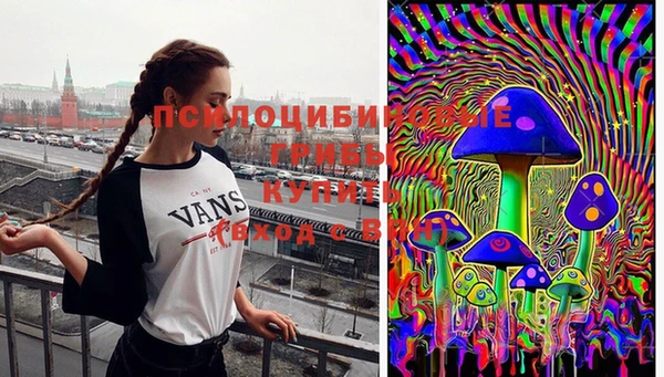 дмт Армянск